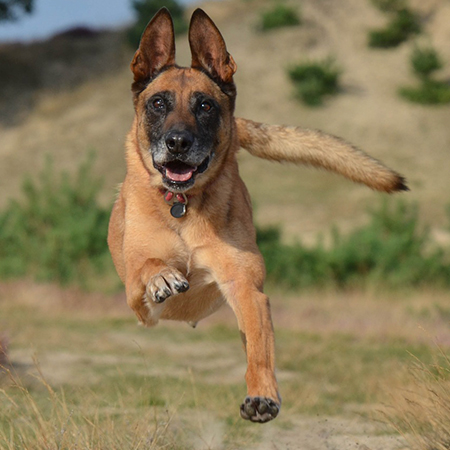 Spools of copper, gold, and silver wiring balancing on each other