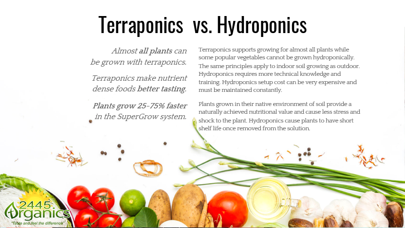 Google slide with title and two paragraphs of text. Left hand text is larger. Bottom of slie has veggies