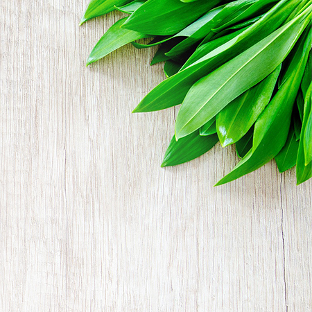 Two musicians smiling