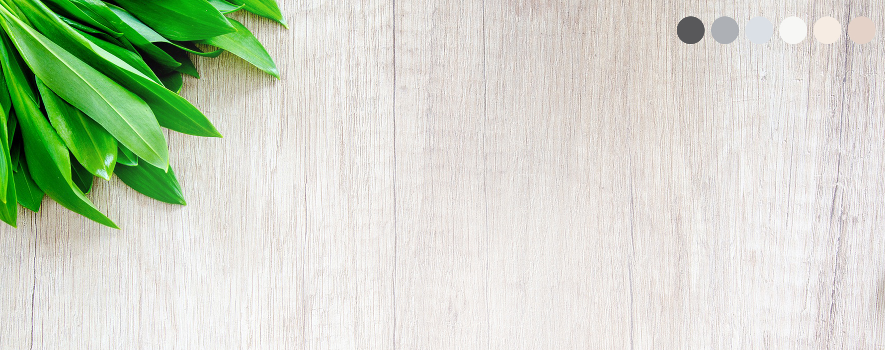 Green plant on the upper left corner of a wood board background